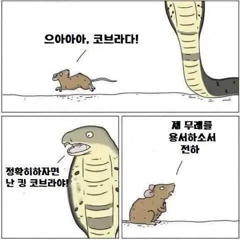 476347038_18483161680046028_1469631735710181242_n.jpg 뱀 해독제 개발에 혁명을 일으킬 수 있는 남자