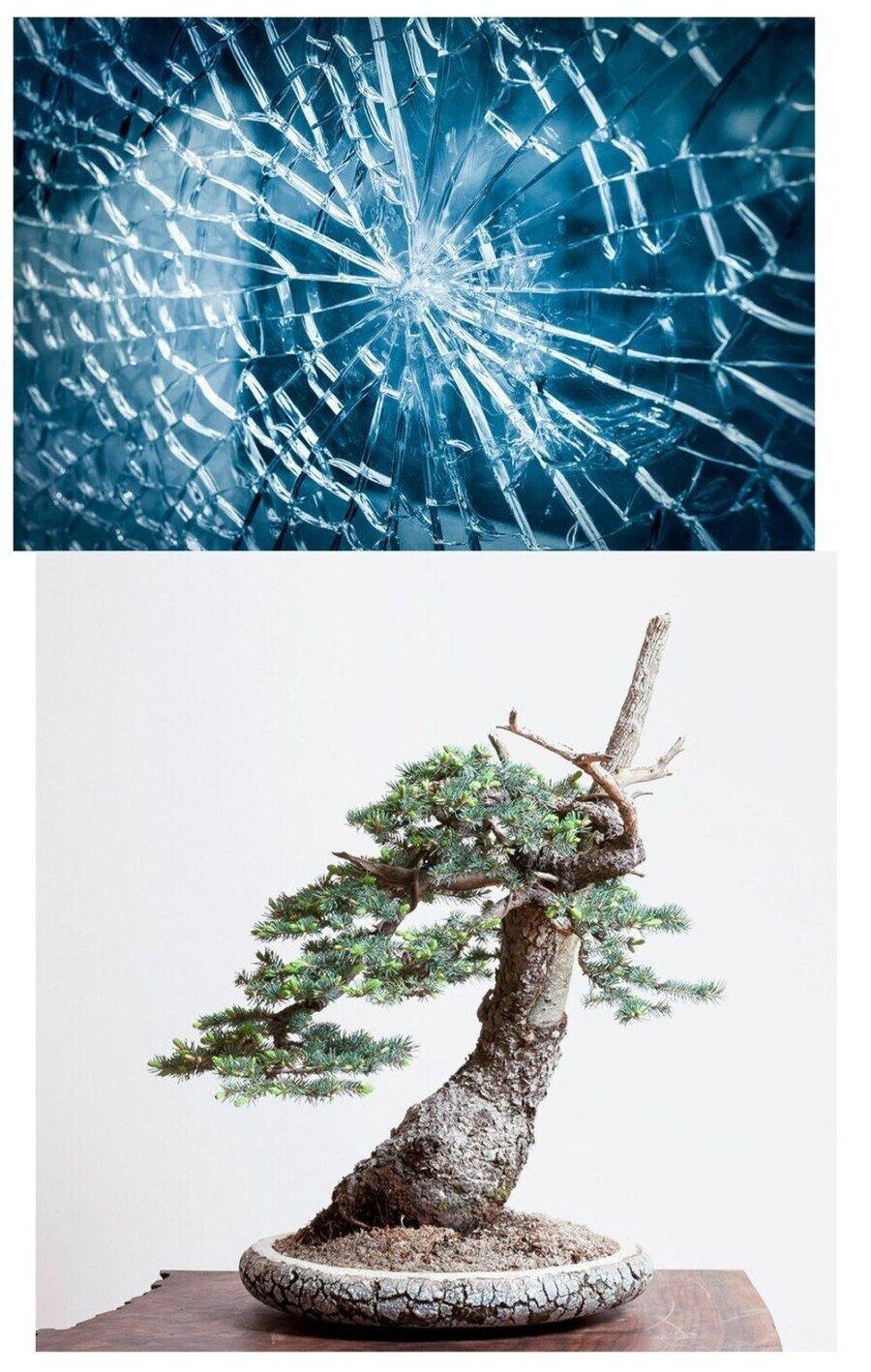 고등학교 교사, 담당 학생이 교장 물건 파손했다고 체벌1.jpg