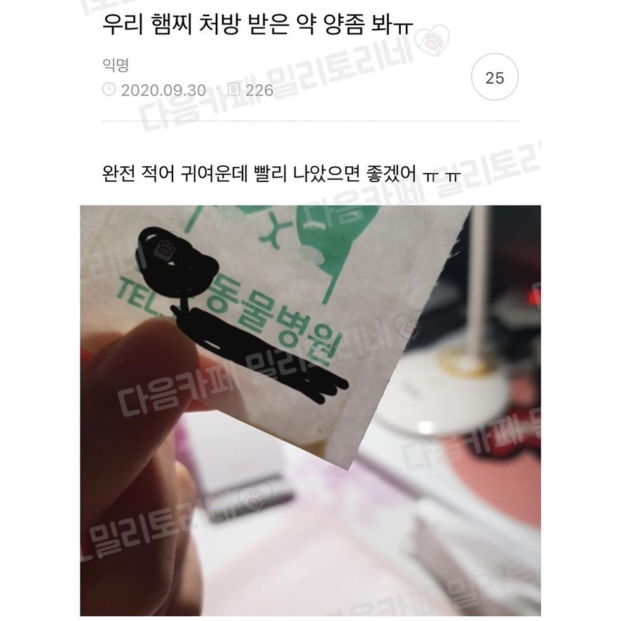 우리 햄찌 처방 받은 약 양 좀 봐1.jpg