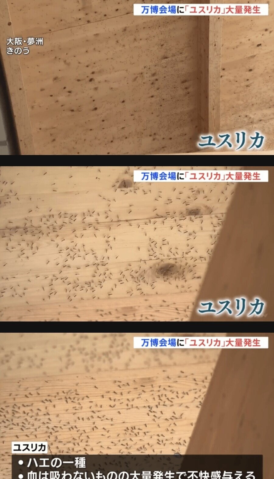 24post.co.kr_005.jpg